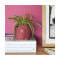 Горшок керамический для цветов Balvi Frida, вишневый