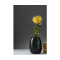 Набор ваз для цветов Bergenson Bjorn Hildy, 2 шт.